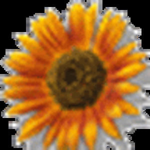 Meet your Posher, Lea